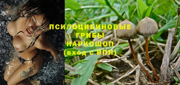 метадон Алзамай