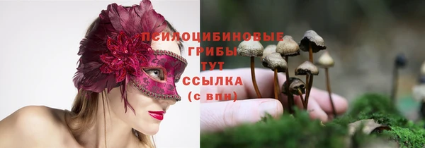 метадон Алзамай