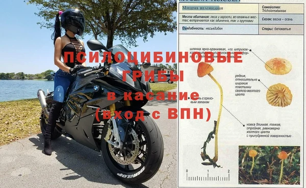 твердый Абаза