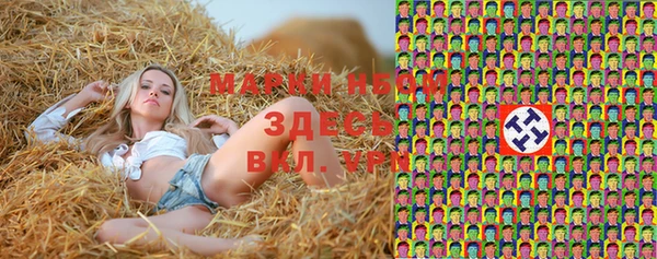 шишки Алексеевка