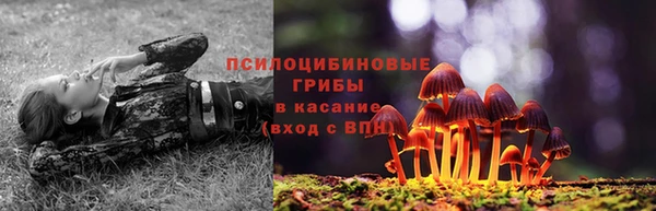 spice Алексин